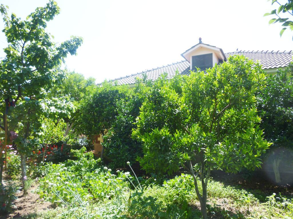 Vila Altini Borsh Exterior foto